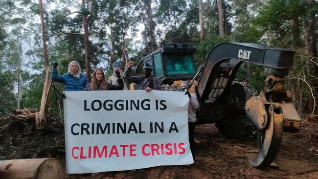 Protesters 'lock on' to a harvester at the Orara East State Forest in June. Picture: Bellingen Activists' Network