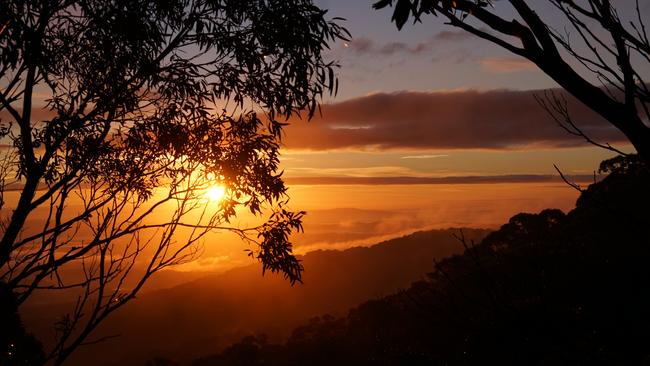 The Macedon Ranges was one of the regions that experienced the biggest jump in overseas visitors. Picture: Andrew Connor 