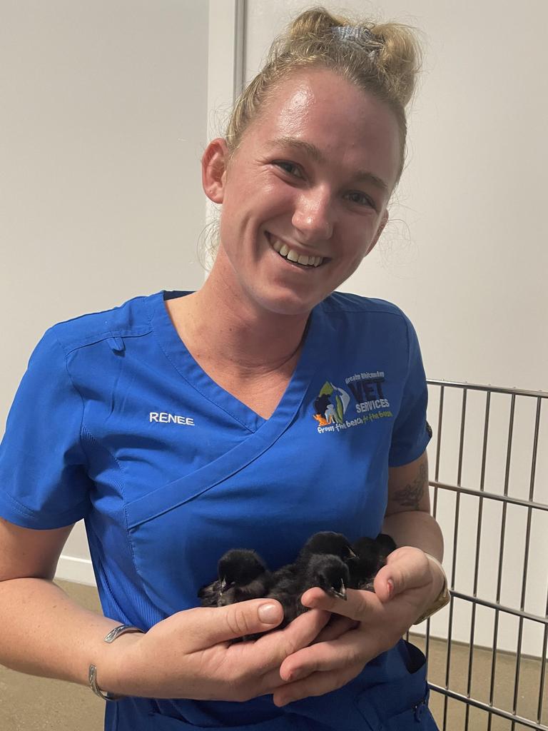 Trainee vet nurse Renee Kuhn is one of the friendly faces you'll find at the new Bowen clinic. Picture: Supplied