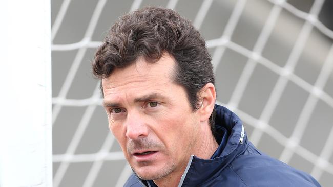 Adelaide United coach Guillermo Amor.