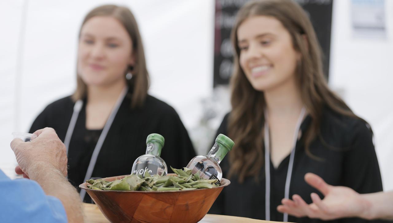 World first sassafras spirit from Bakehouse Distillery at the Taste of the Huon festival. Picture: MATHEW FARRELL