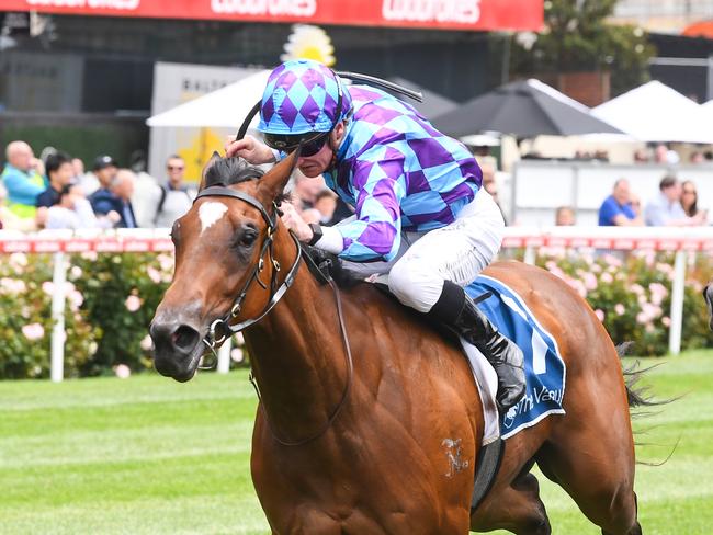 Jenni's Meadow ridden by Daniel Stackhouse wins the Young Members Cocktail Party 2 Feb Handicap at Moonee Valley Racecourse on December 30, 2023 in Moonee Ponds, Australia. (Photo by Pat Scala/Racing Photos via Getty Images)