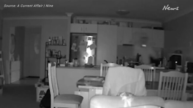 Mum's horror as she watches thieves break into home while at work