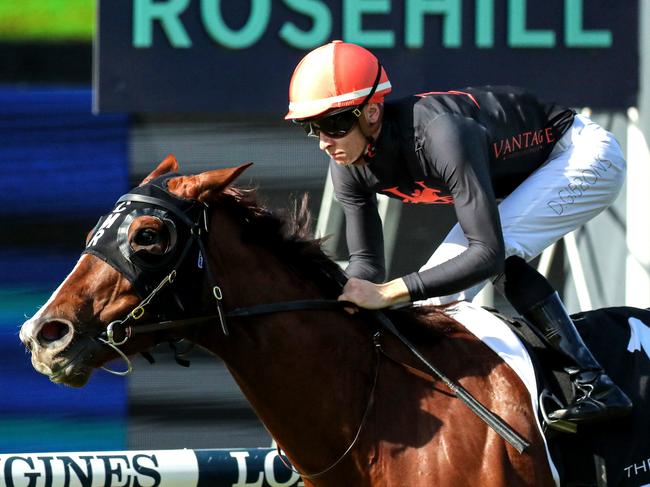 SYDNEY, AUSTRALIA - JULY 01: Dylan Gibbons riding Semana wins Race 2 The Agency Real Estate during Sydney Racing at Rosehill Gardens on July 01, 2023 in Sydney, Australia. (Photo by Jeremy Ng/Getty Images)