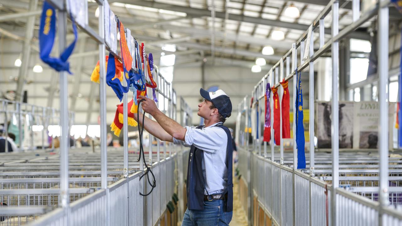 Action from the Royal Melbourne Show, on Sunday, September 22. Photo: Dannika Bonser