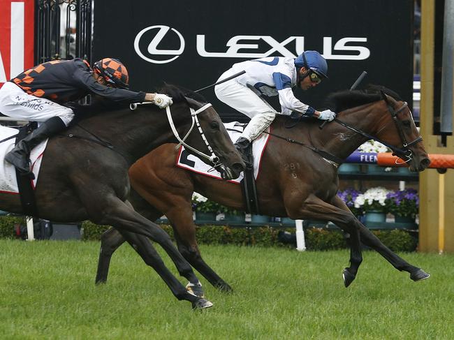 Damien Oliver and Miami Bound (right) combine to win the G.H. Mumm Wakeful Stakes from fellow Oaks rival Vegas Jewel.