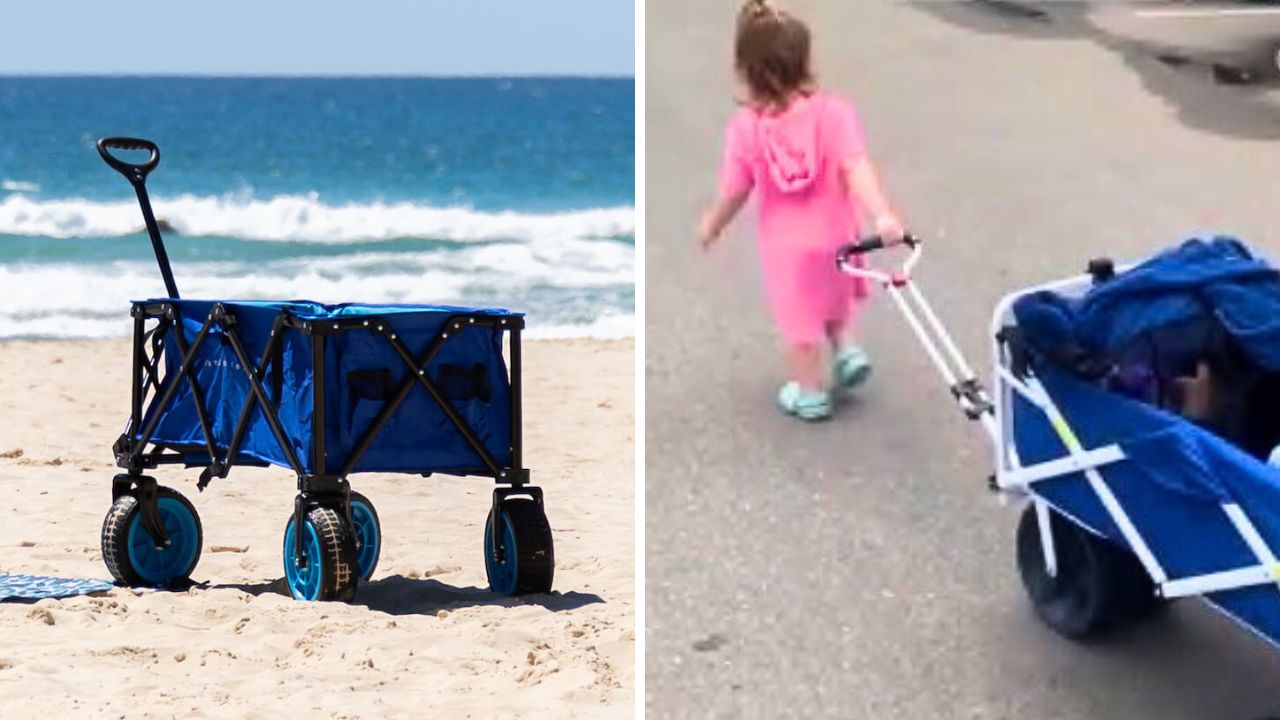 The best beach wagons for summer. Picture: BCF, TikTok