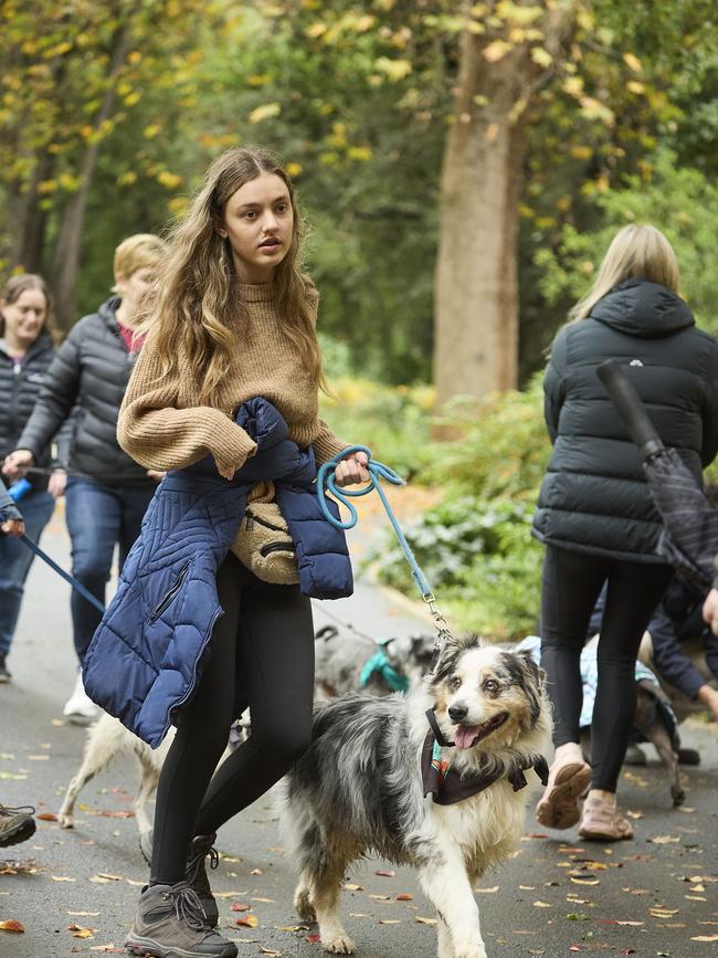 Million Paws Walk in the Adelaide Botanic Gardens, Sunday, May 28, 2023. Picture: Matt Loxton