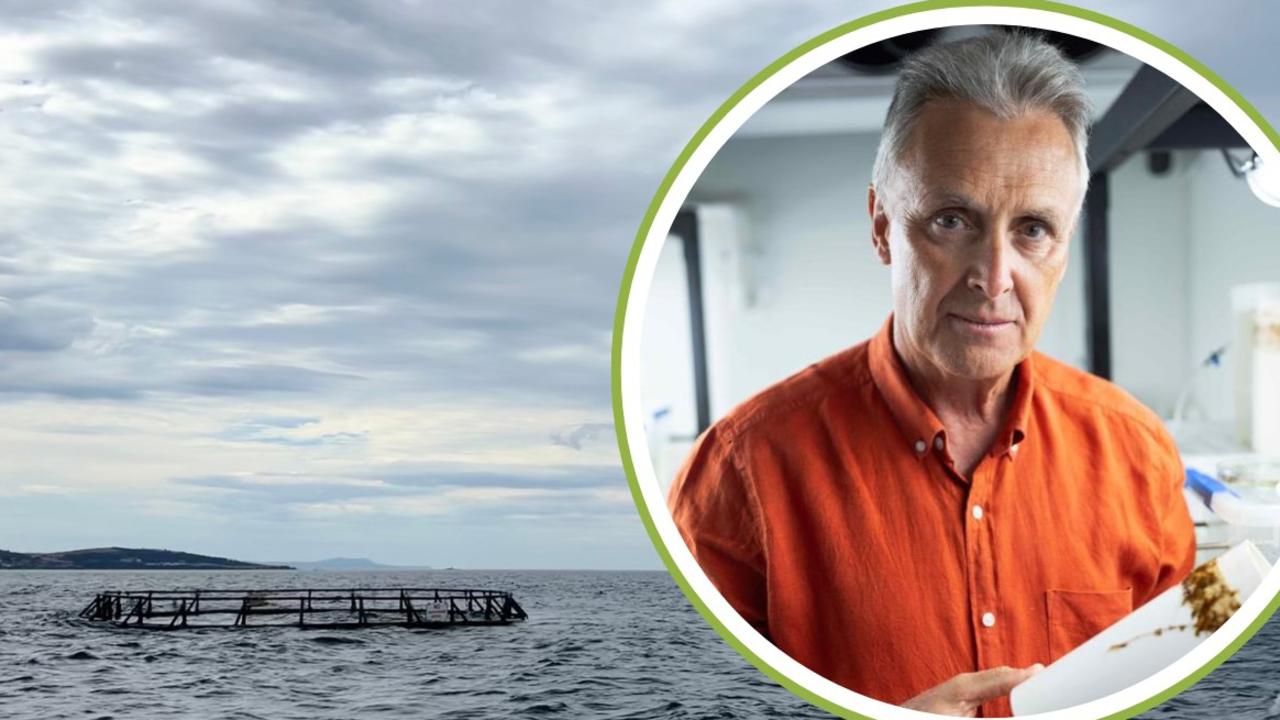 University of Tasmania's Institute of Marine and Antarctic Studies have placed rings in the waters off Tinderbox, which have lines underneath them to grow giant kelp. The giant kelp are sucking nutrients from salmon farming. IMAS marine ecology Professor Craig Johnson.