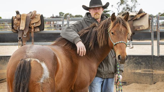 Courage has scars on his rump from the fires. Picture: Zoe Phillips