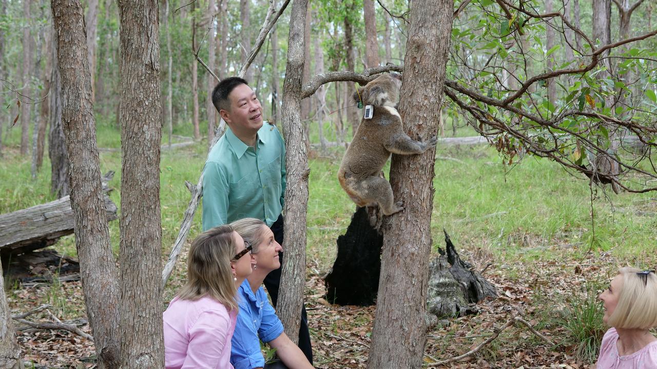 (L-R) Deputy Mayor Fiona Cunningham, wildlife researcher Amber, Councillor Steven Huang and Councillor Tracy David.