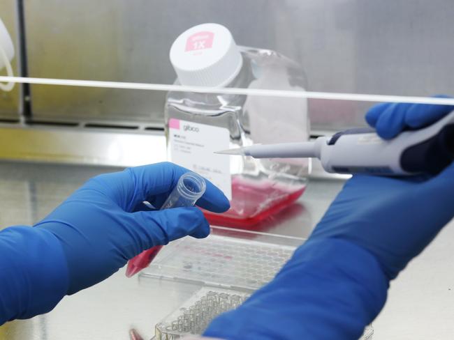 Generic image inside a lab at the CSIRO's high-containment facility in Geelong, Friday, January 31, 2020. CSIRO, Australia's national science agency, has commenced key research in the rapid global response to the novel coronavirus outbreak. (AAP Image/David Crosling) NO ARCHIVING