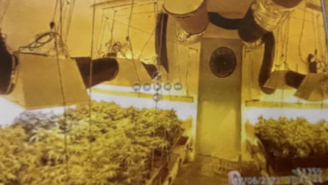 Leila Samatauskaite, 32, and Joshua Carl, 43, were charged with growing cannabis at the Lisarow home. Picture: NSW Police