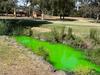 Locals puzzled as creek at popular park turns bright green