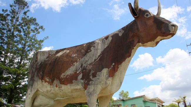 The Big Cow at Kulangoor. Photo: Erle Levey / Sunshine Coast Daily