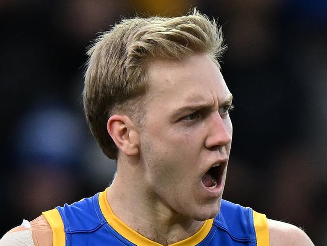 HOBART, AUSTRALIA - AUGUST 10: Oscar Allen of the Eagles celebrates a goal during the round 22 AFL match between North Melbourne Kangaroos and West Coast Eagles at Blundstone Arena, on August 10, 2024, in Hobart, Australia. (Photo by Steve Bell/Getty Images)