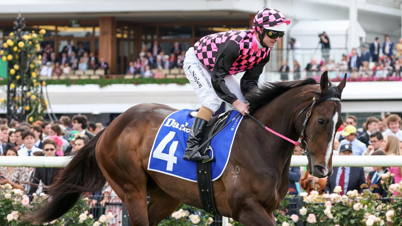 “Courage will fill in the cracks”: Rothfire back in game for third Stradbroke bid