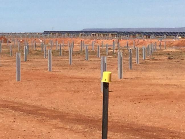 Bugala Solar Farm, pic supplied