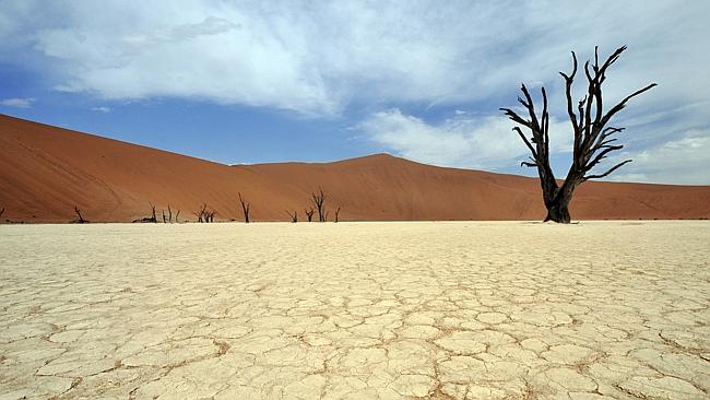 Deadvlei is home to petrified acacia trees. Picture: Thinkstock