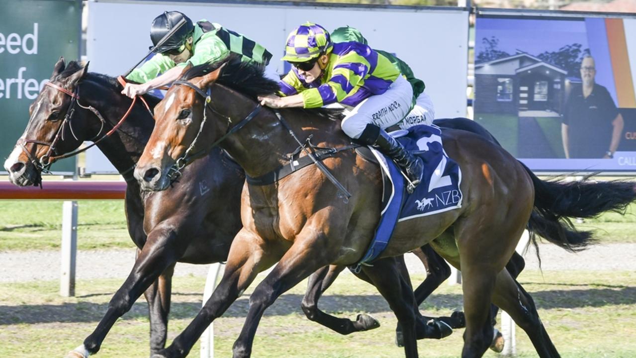 Reigning King looks tough to beat dropping back in grade at Wyong. Picture: Bradley Photos