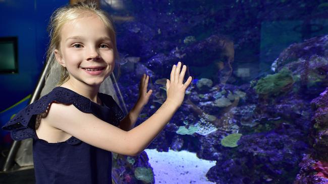 One of the many children who visited ReefHQ for school holiday activities. Picture: Matt Taylor.