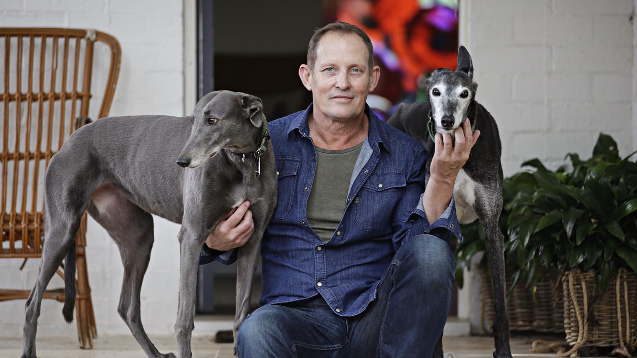 Todd McKenney with his dogs. Picture: Adam Yip