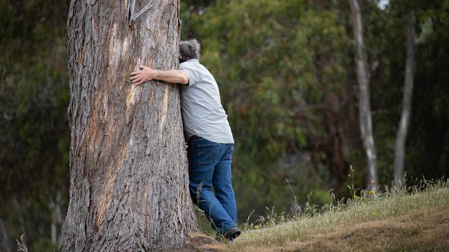 Mr Gardam embraces a tree in his grief. Picture: Jason Edwards