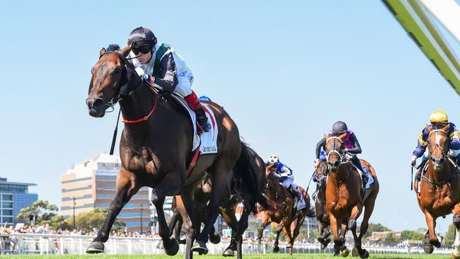 Mr Brightside had his first jumpout of his spring campaign when he stepped out at Flemington on Monday. Picture: Racing Photos via Getty Images.