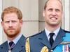 Prince Harry’s astonishing beard claim