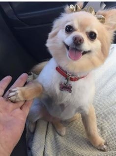 Chelsea’s bows always match her nails! Submitted by Ashley Marsden.