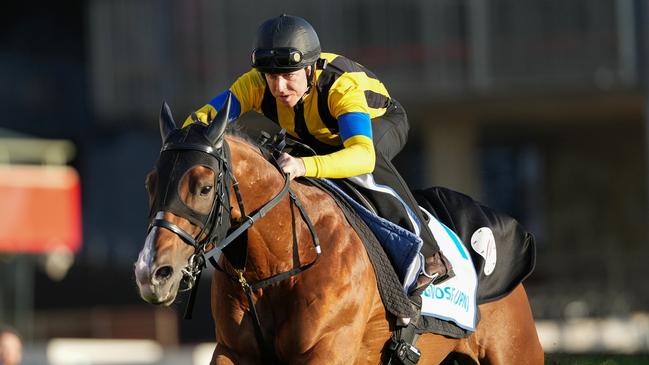 Damian Lane aboard Prognosis during trackwork at Moonee Valley Racecourse on October 17, 2024 in Moonee Ponds, Australia. (Photo by George Salpigtidis/Racing Photos via Getty Images)