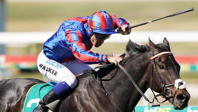 Walker and Prince Of Arran bravely held off fast-finishing runner-up True Self. Pic: AAP