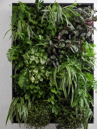 The judges didn't like their vertical garden, saying it didn't belong in their small bathroom. Source: The Block