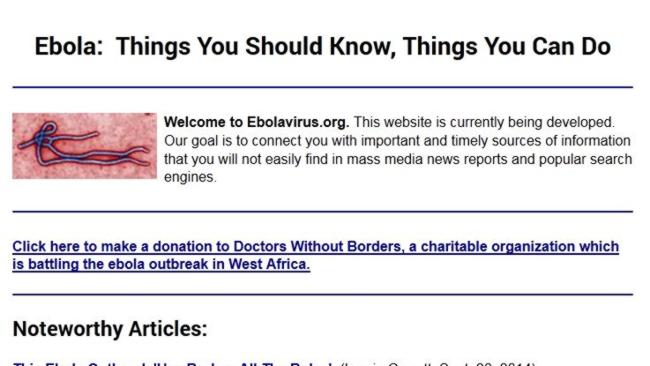 The website entrepreneur Jon Schultz wants $170,000 for. Pic: Screengrab Ebola.com.