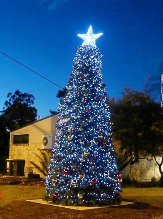 Kyogle's Christmas tree 2016.