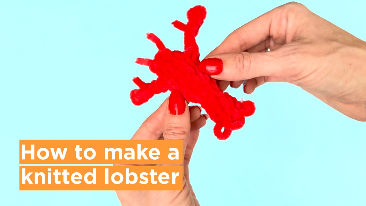 Knit Your Own Lobster: A Fun & Quirky DIY Guide | news.com.au ...