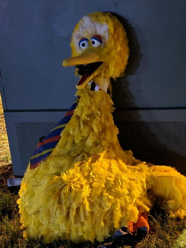 Big Bird costume returned to circus site. Picture: SA Police