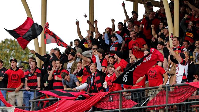 Cron led Northern Suburbs to a drought-breaking Shute Shield title. Picture: Troy Snook