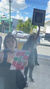 Pro-palestinian protest outside Deborah Conway event in Brisbane