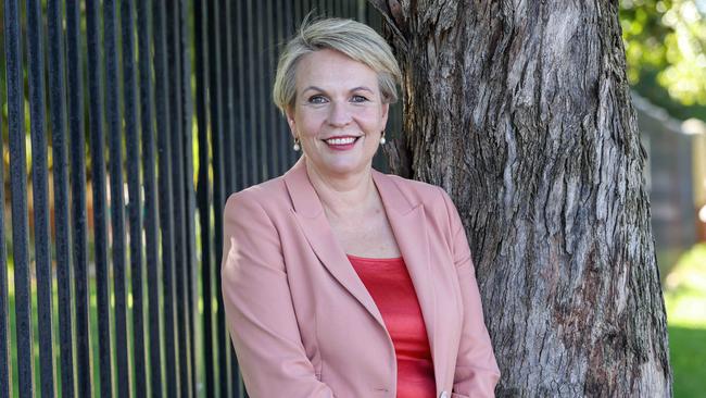 Tanya Plibersek says Labor will investigate investigate bullying and harassment claims. Picture: Colin Murty