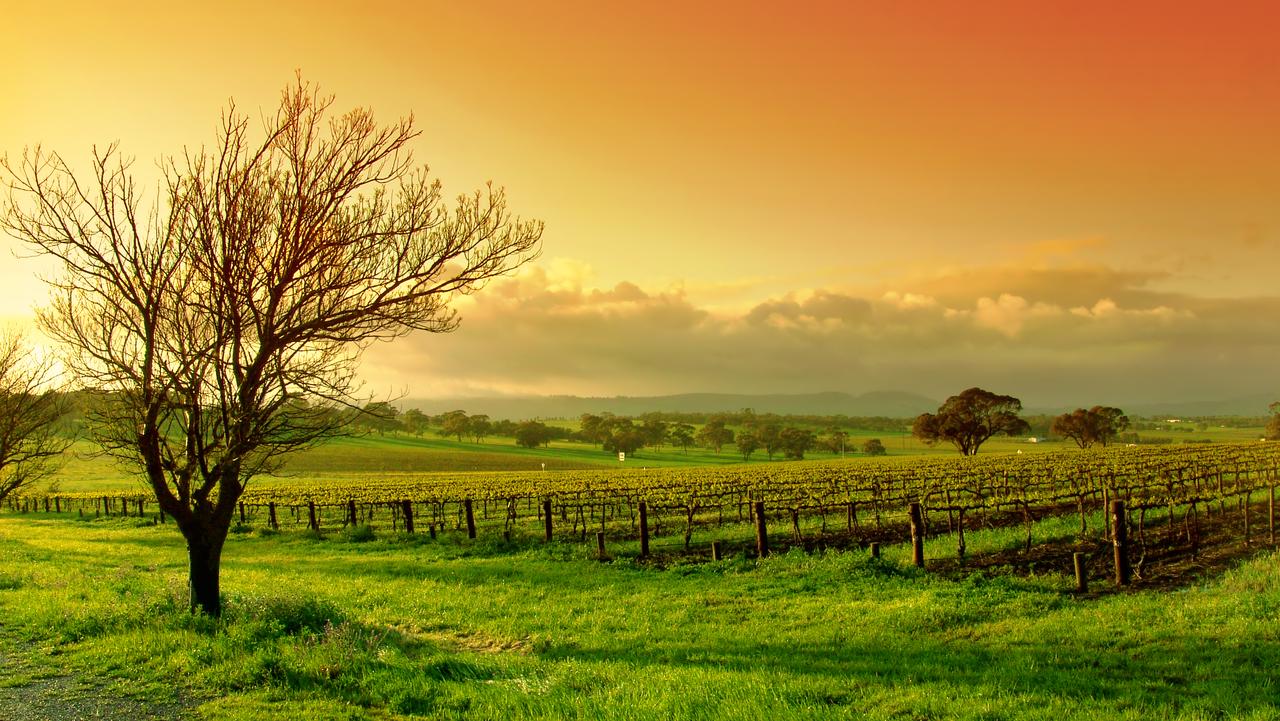 Grand Barossa Valley Tour With Hahndorf Gray Line