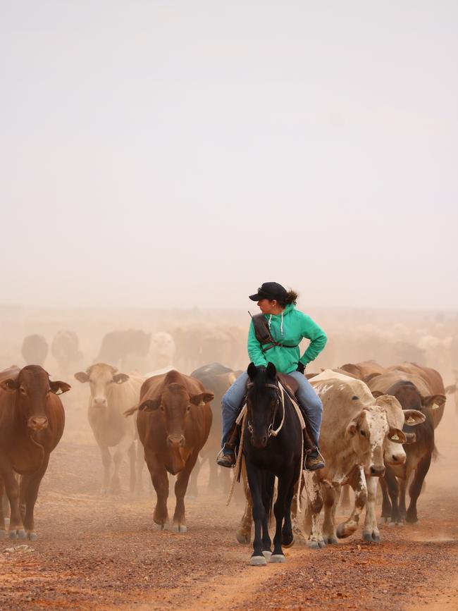 Jillaroo Ebony Panzram at NAPCo property Marion Downs Station in western Queensland. Picture: Supplied