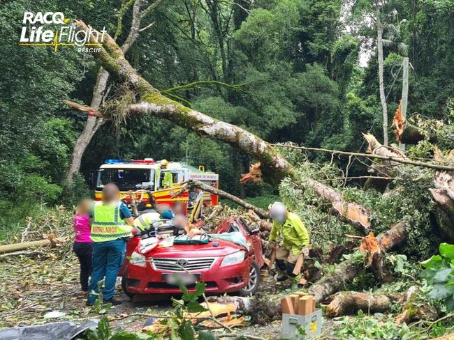 Two flown to hospital after falling tree crushes car