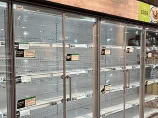 Empty egg shelves at Mortdale Woolworths. Picture: Newswire