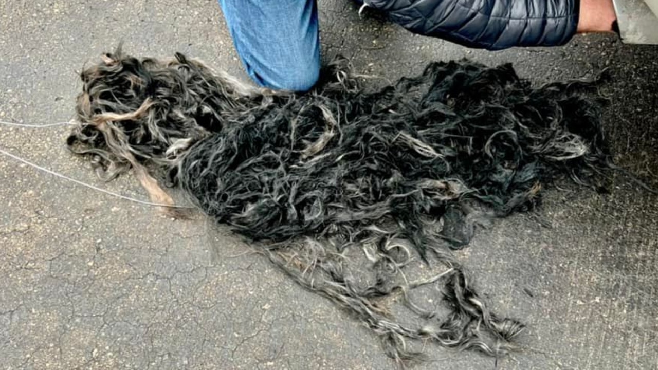 What is muffler hair Woman finds clump of hair in car exhaust