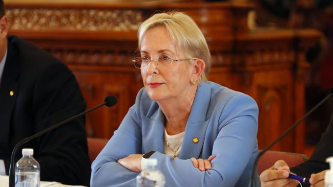 Shadow Minister for Health and Ambulance Services Ros Bates during Estimates Hearings at Parliament House. Pics Tara Croser.