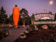 Researchers were given $360,000 to study the white-privilege narrative around the statue of a carrot in Ohakune.