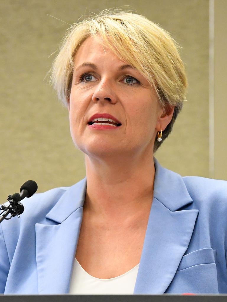 Former deputy leader Tanya Plibersek has also backed Ms Macklin’s message of support. Picture: James Ross/AAP