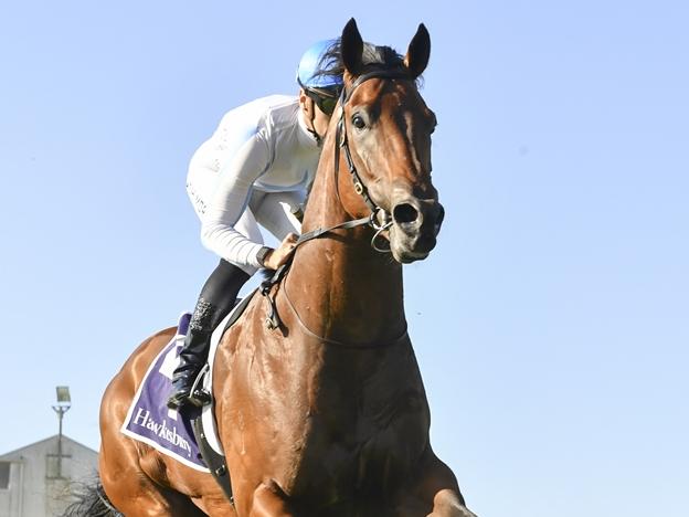 Private Harry wins the Benchmark 64 Handicap by seven lengths at Hawkesbury on November 21, 2024. Picture: Bradley Photos