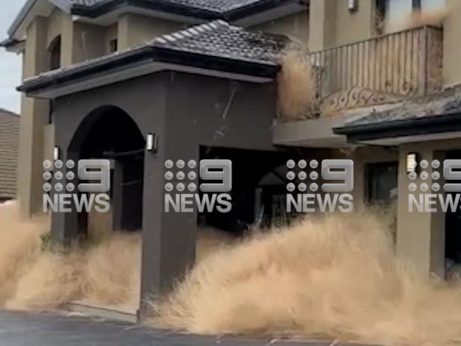 Piles of the grass outside a home. Picture: Nine News.